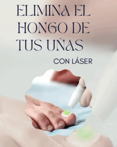 Hongos
